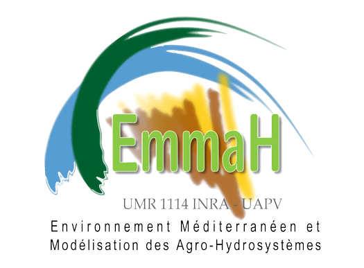 EMMAH_logo_transp